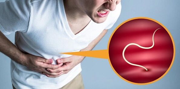 Parasites in the intestine